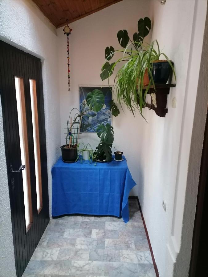 Zepina Appartement *